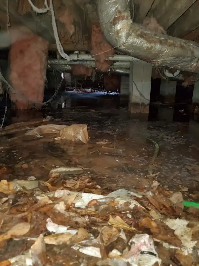 Crawl space flood assessment for Leak Detection & Repair in Powell